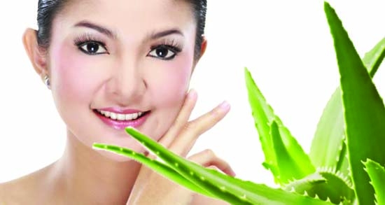 Aloe vera gel for younger skin