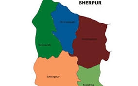 9 held while giving proxy in PSC exams in Sherpur