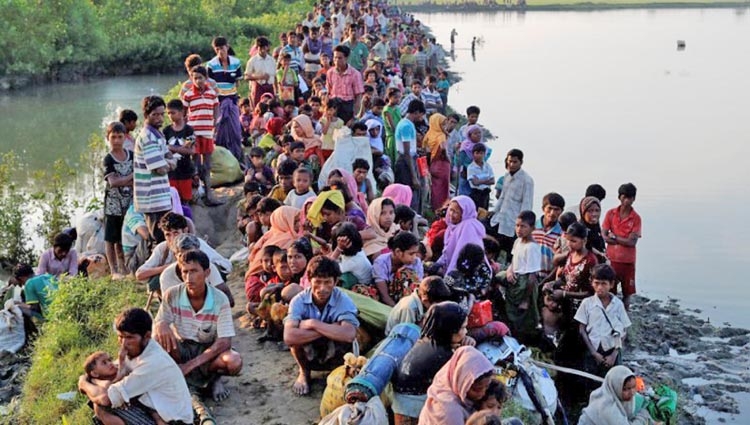 6.46 lakh Rohingyas arrive from Myanmar recently