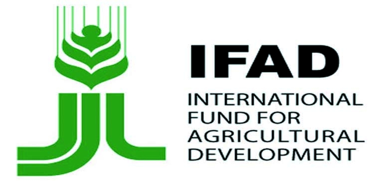 Help remittance-receiving families to build future: IFAD