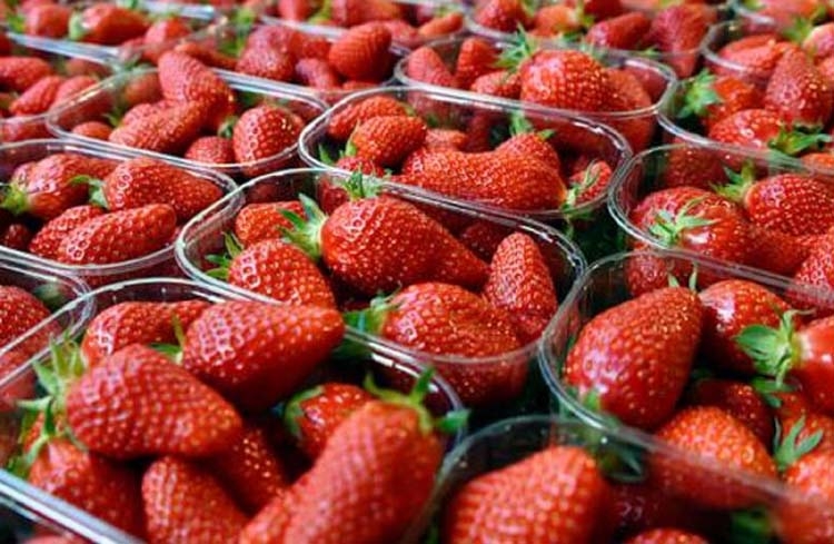 Ex-farm supervisor charged over strawberry sabotage