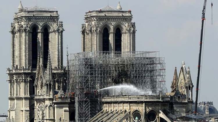 Bees living on Notre-Dame cathedral roof survive blaze