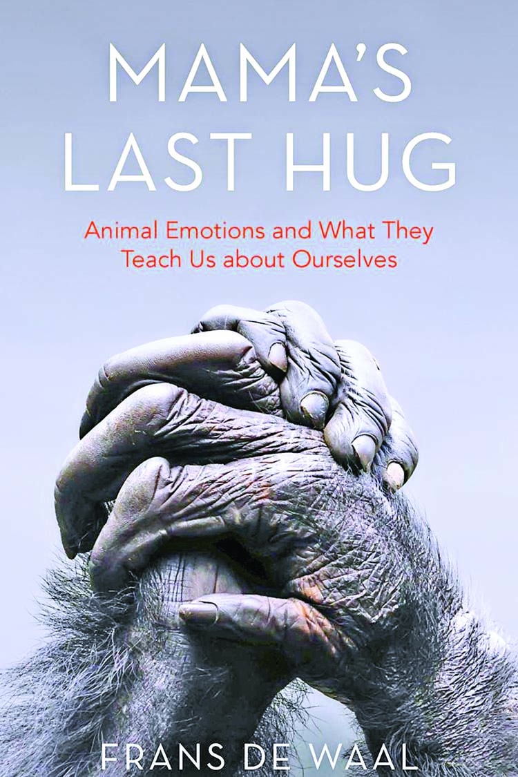 Entertaining insight into animal emotions