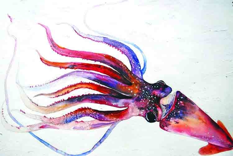 The squid who fell in love with the sun