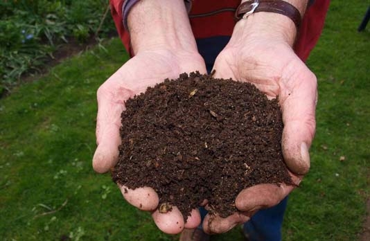 Washington first US state to legalize human composting
