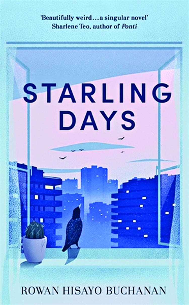 Starling Days: A novel about depression that doesn't depress