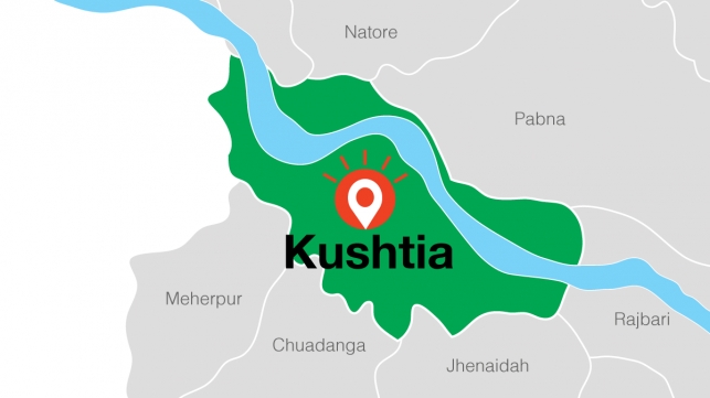 Missing Kushtia nurse found dead in sack 