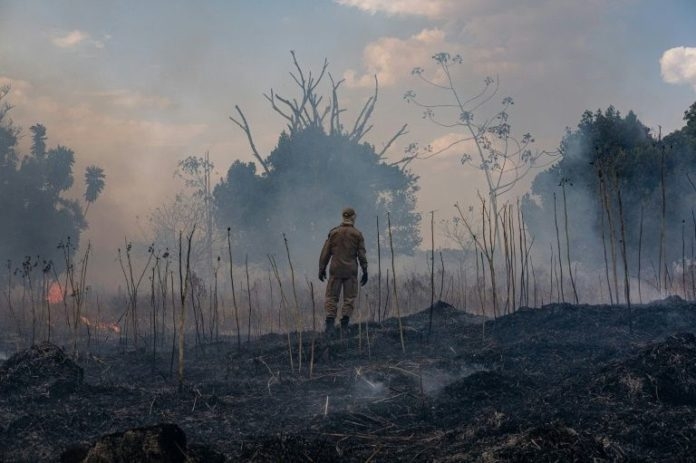 Brazil arrests 63, levies $8.7 million in fines over fires