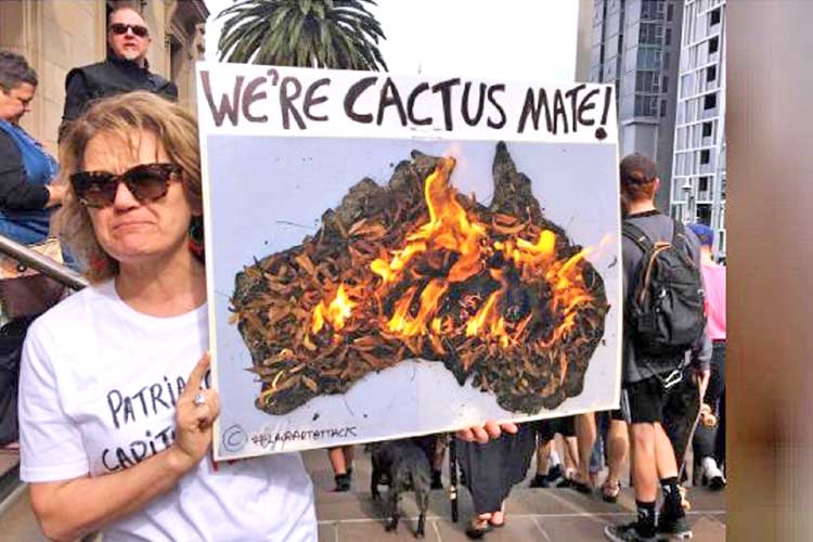 Australia's 'black summer' provides glimmer of hope for climate policy