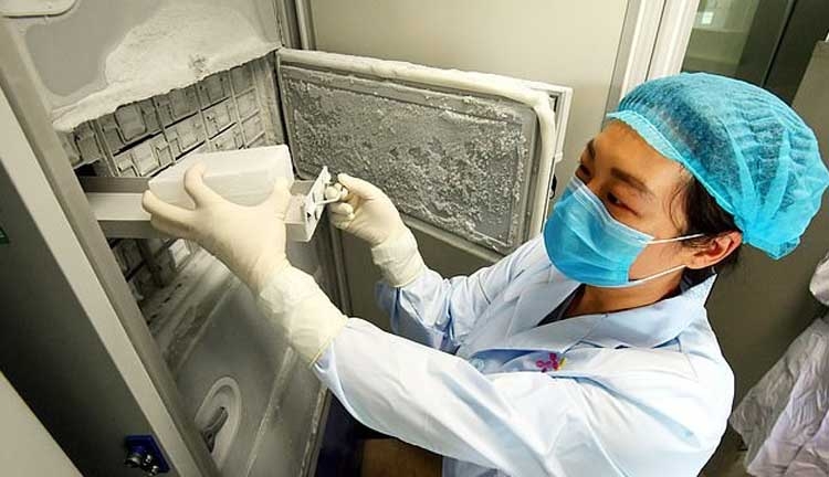 Fridge stored 1,500 virus strains in Wuhan lab, found seal broken ...