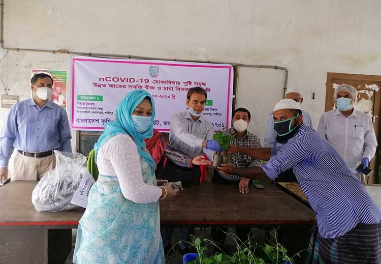 BARI Inaugurates Seed Sapling Distribution Program The Asian Age 