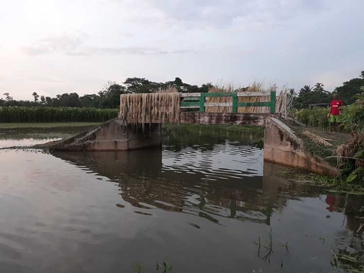 Bridge lies without approach roads