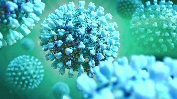 Global Coronavirus Death Toll Exceeds 700 000 The Asian Age Online 