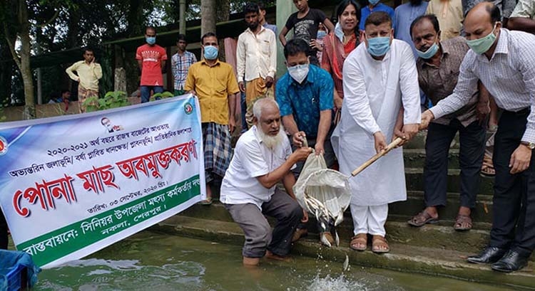 Fish Fry Released In Nakla The Asian Age Online Bangladesh
