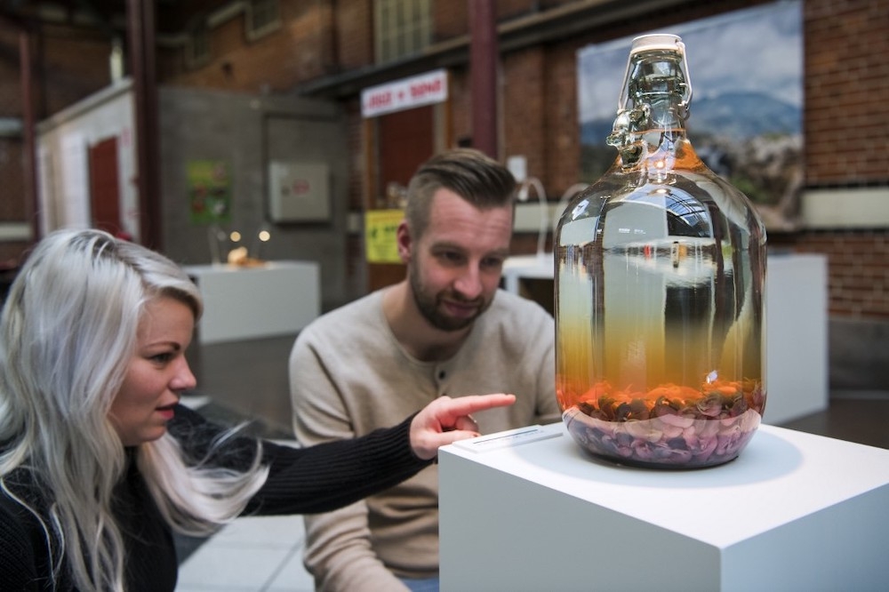 Faeces wine? Revolting alcohol on show at Disgusting Food Museum