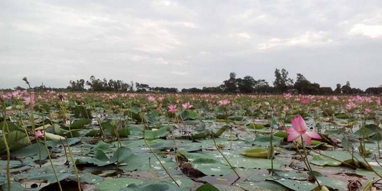Baikka beel sanctuary