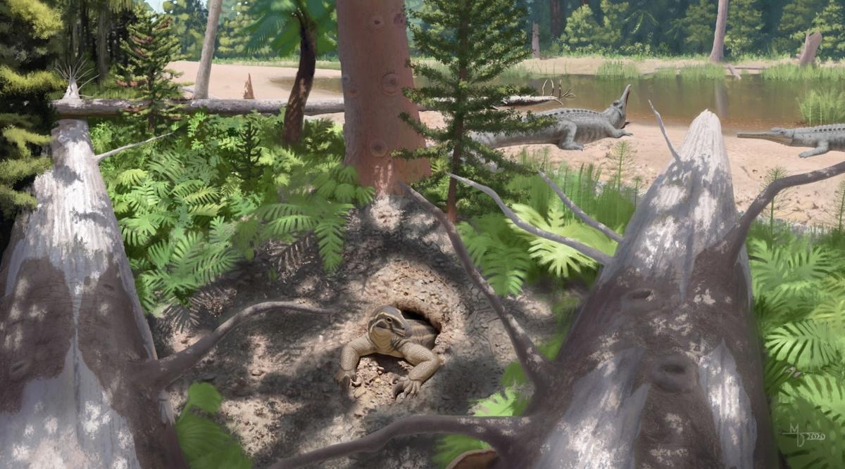 Researchers discover fossils of new species in Arizona