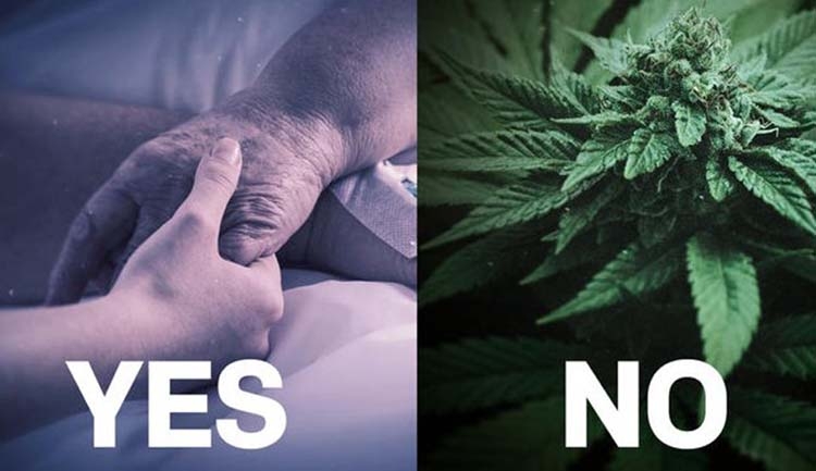 Euthanasia ‘Yes’, Cannabis ‘No’