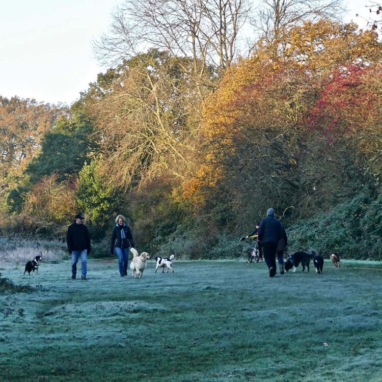From rewilding to forest schools, our attitude to nature is changing for the better