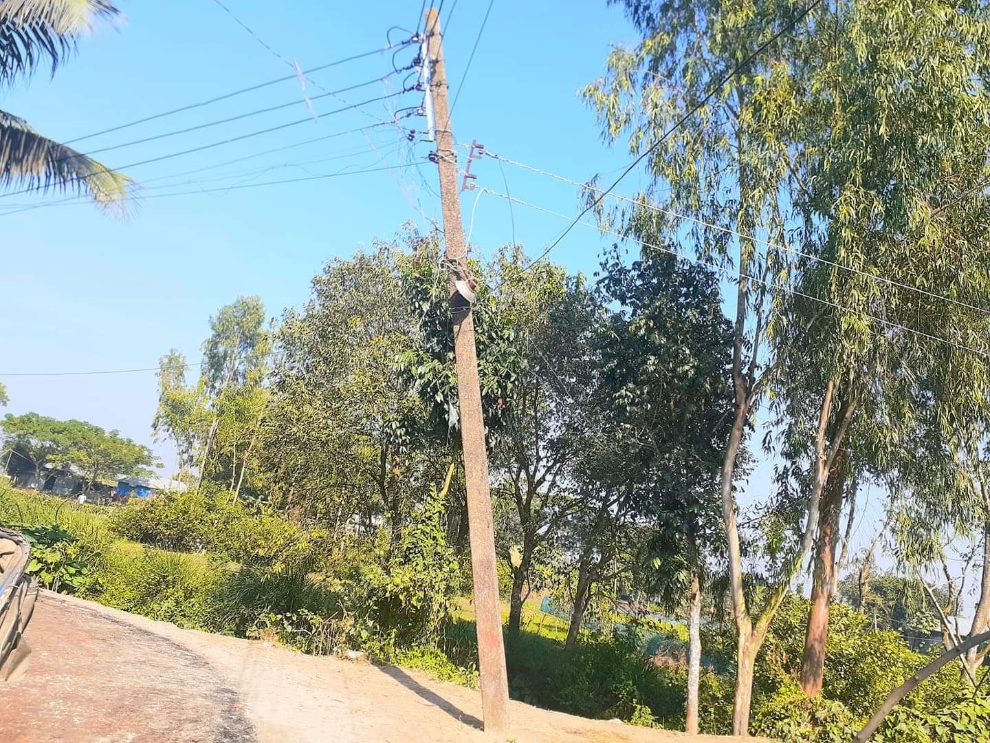 Tilted, dilapidated electric poles pose danger in Sarail | The Asian ...