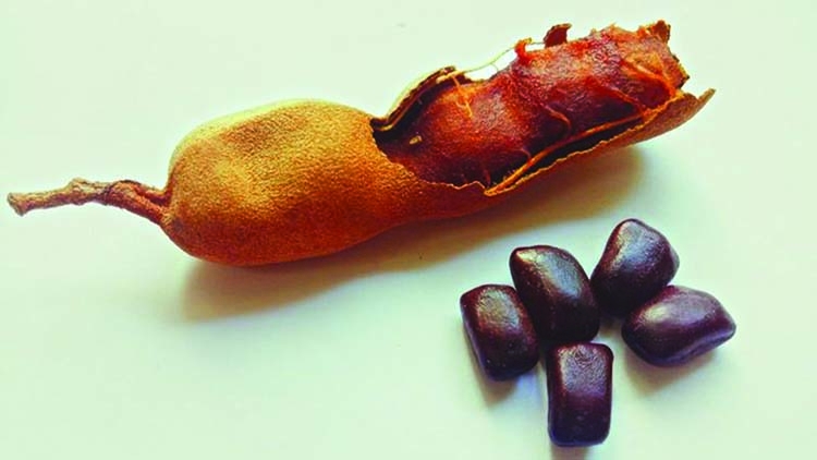 Why Bangladesh is importing tamarind seeds from India