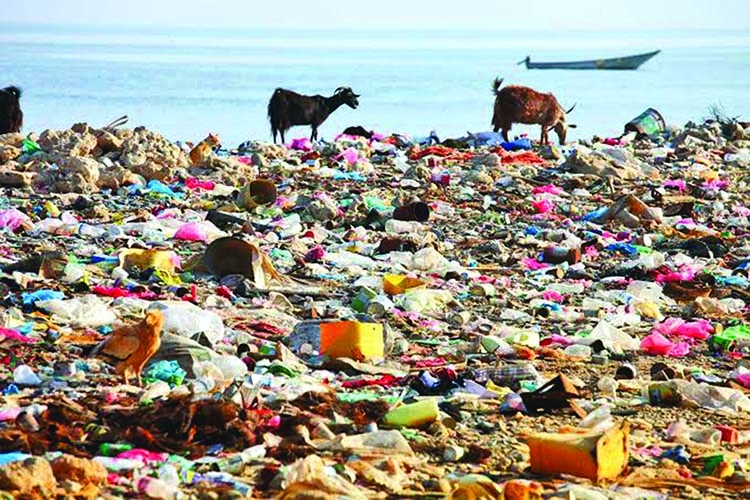 Polythene an extreme threat to environmental protection The Asian