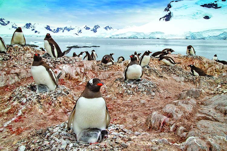 National Geographic recognizes Southern Ocean as fifth ocean