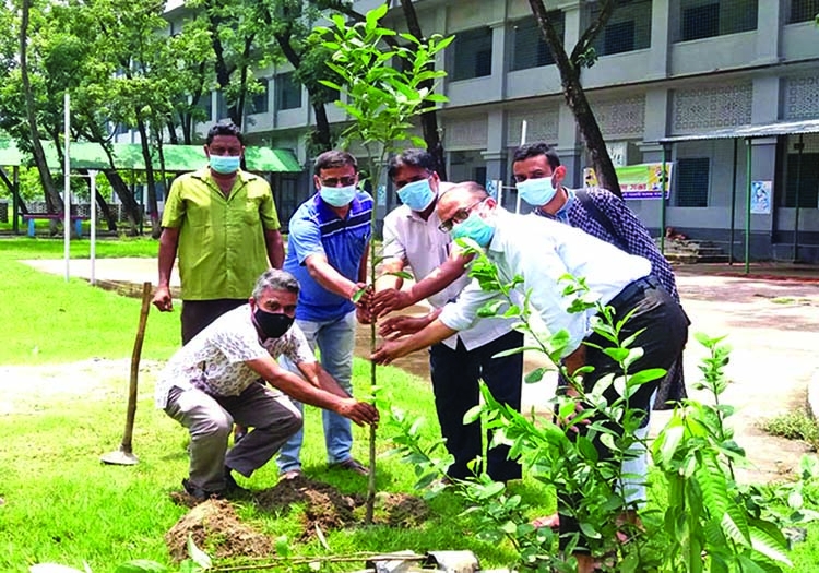 Tree plantation inaugurated in Naogaon Govt College