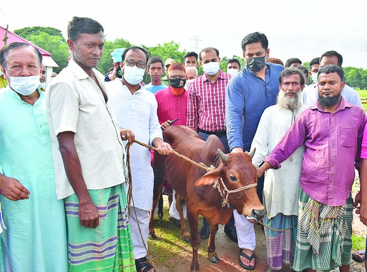 MP Razee gifts cattle to Ashrayan project residents for Qurbani