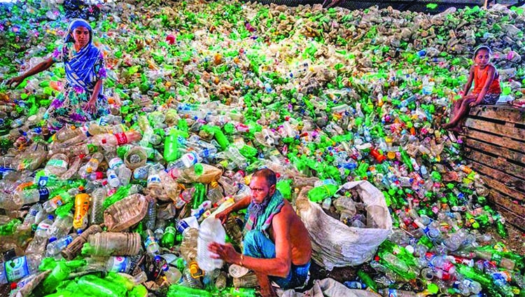 The fungus and bacteria tackling plastic waste