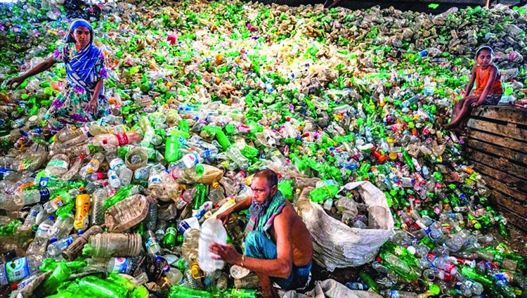 The fungus and bacteria tackling plastic waste