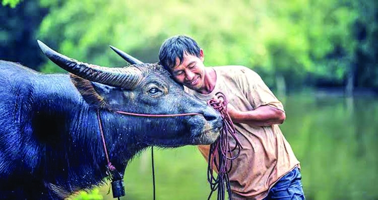 Humans and Domestic Animals - the Primordial Link | The Asian Age Online,  Bangladesh