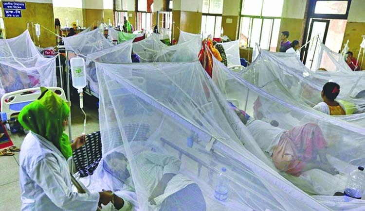 No respite from dengue scourge | The Asian Age Online, Bangladesh
