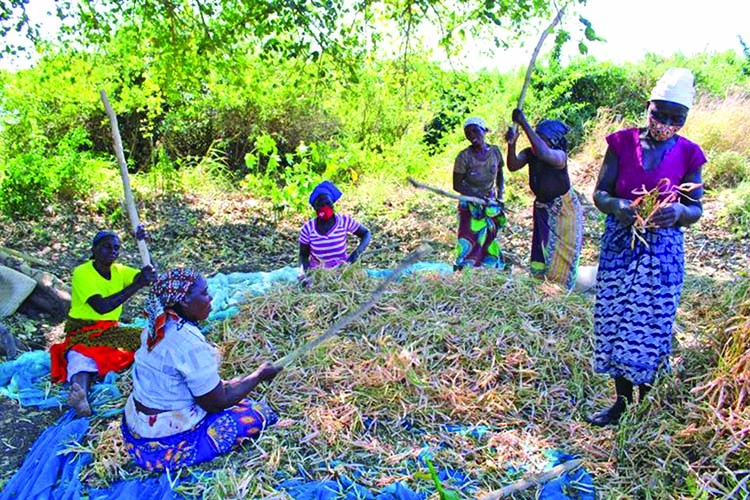 Women Farmers & World Food Status
