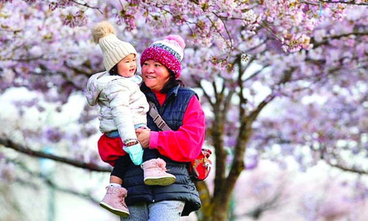 'Contact with nature in cities reduces loneliness'
