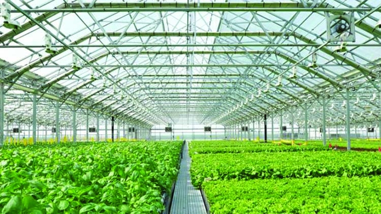 CU establishes green house to develop climate-tolerant crops