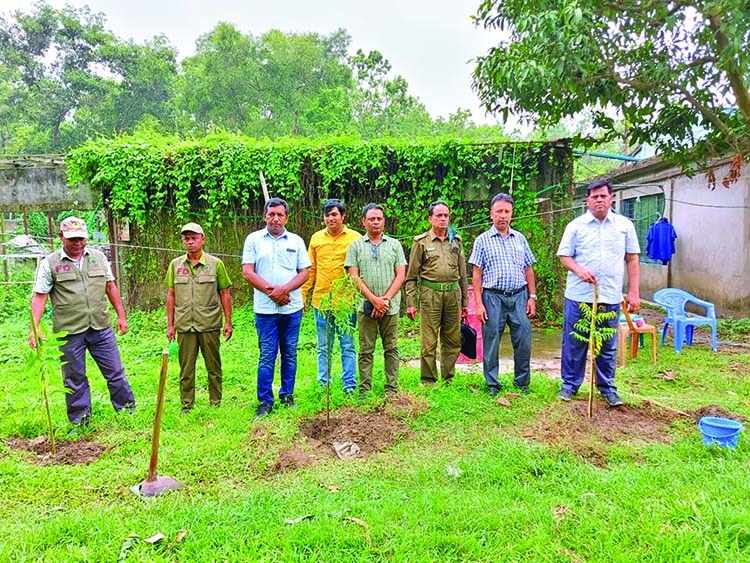 Trees being planted on recovered land in Gazipur