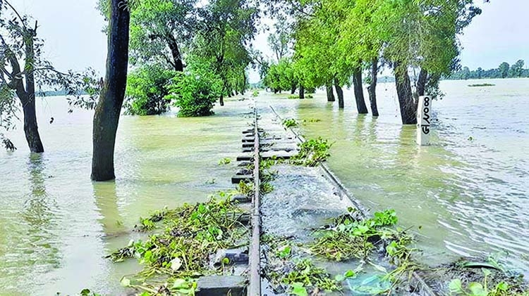 Strategic and Structural Development is Essential to Prevent Flash Flood
