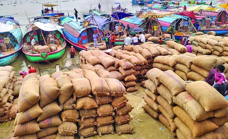 Govt moves to import rice to tame inflation