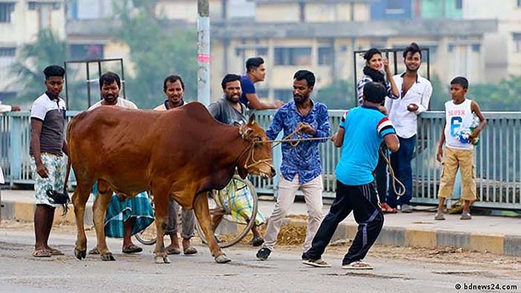 Sacrifice and Eid Economy: Bangladesh Perspectives