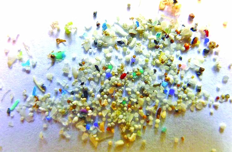 Microplastics detected in meat, milk and blood of farm animals