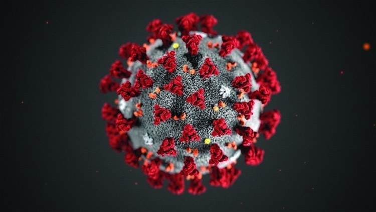 900 new virus cases, 4 deaths