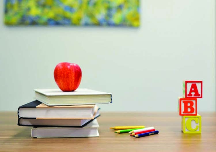 Education is the backbone of the nation: How well organized is education?