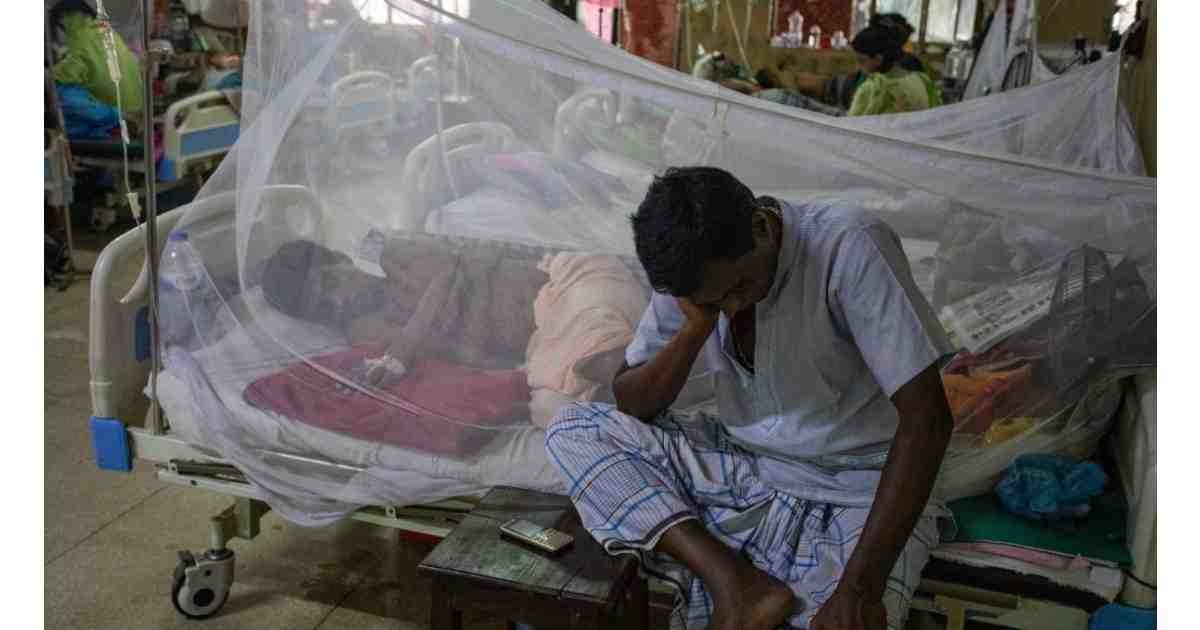92 hospitalized with dengue fever in 24 hrs