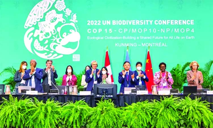 Historic deal struck to halt biodiversity loss by 2030 | The Asian Age ...