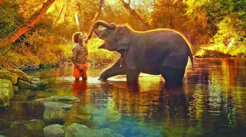 India's elephant story wins short documentary Oscar
