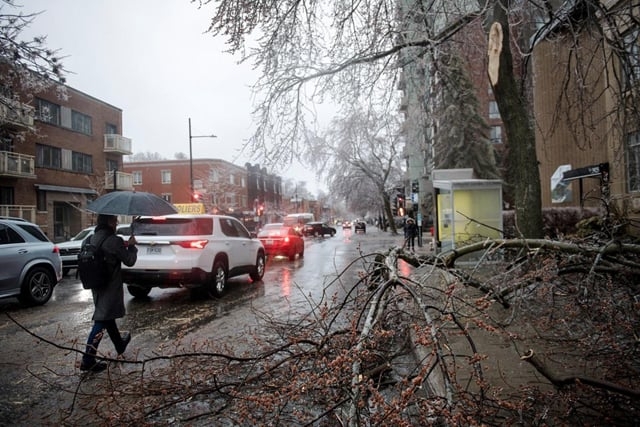 Storm knocks out power to more than a million Canadians | The Asian Age ...