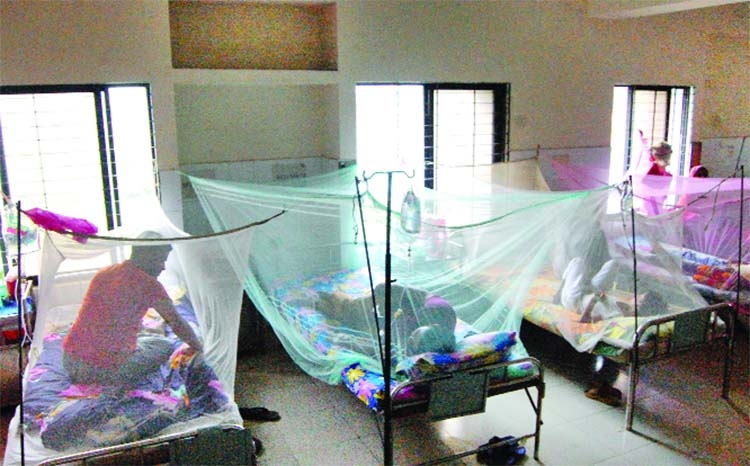 Dengue claims seven more lives, 1,054 hospitalised in a day | The Asian ...
