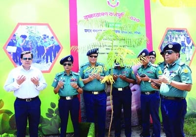 No alternative to plantation protecting environment: DMP commissioner