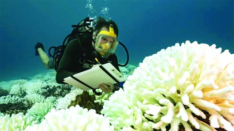 Ocean heat record broken